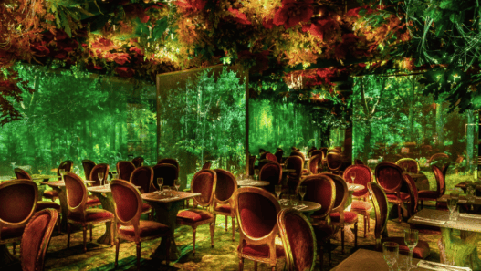 Restaurant immersif à Angers Wonderwoods