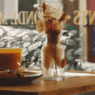 Café Semo Angers