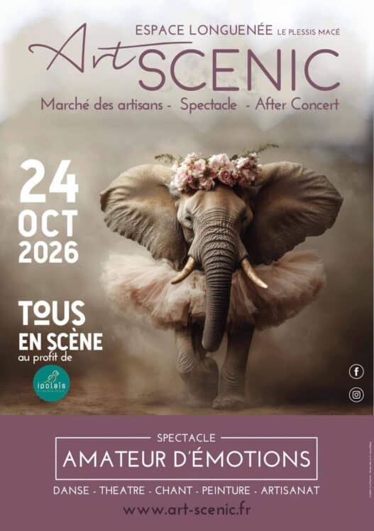 Art-Scenic_24-octobre