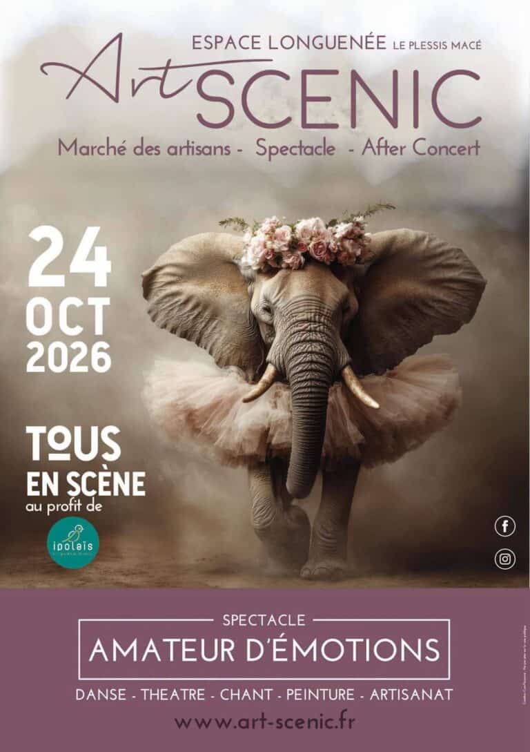 Spectacle solidaire Art Scenic