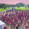 que faire à angers - octobre rose